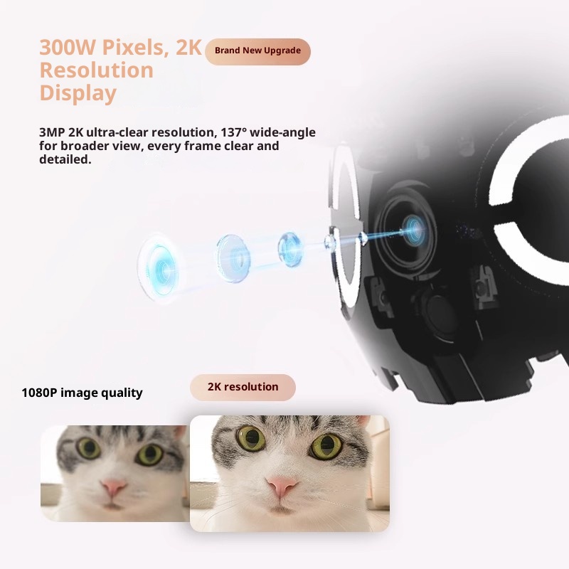 에나봇 롤라 미니 스마트 로봇 지능형 모바일 카메라 홈 - Home Security Robots 리뷰 및 가격